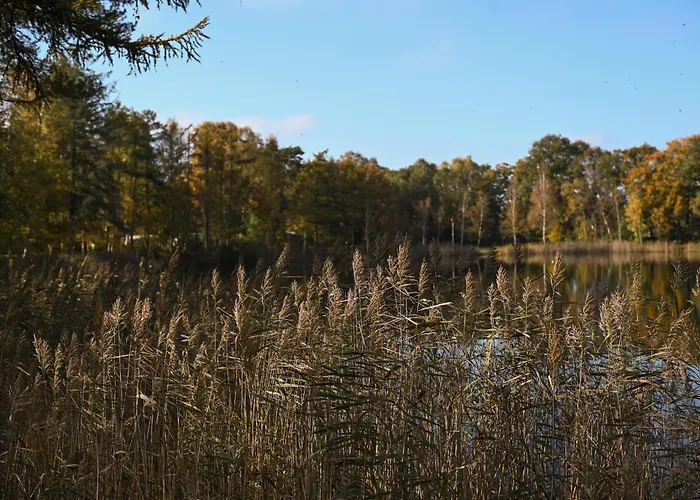 Sleep Space 1 - Tiny Spot Friesland Schortens